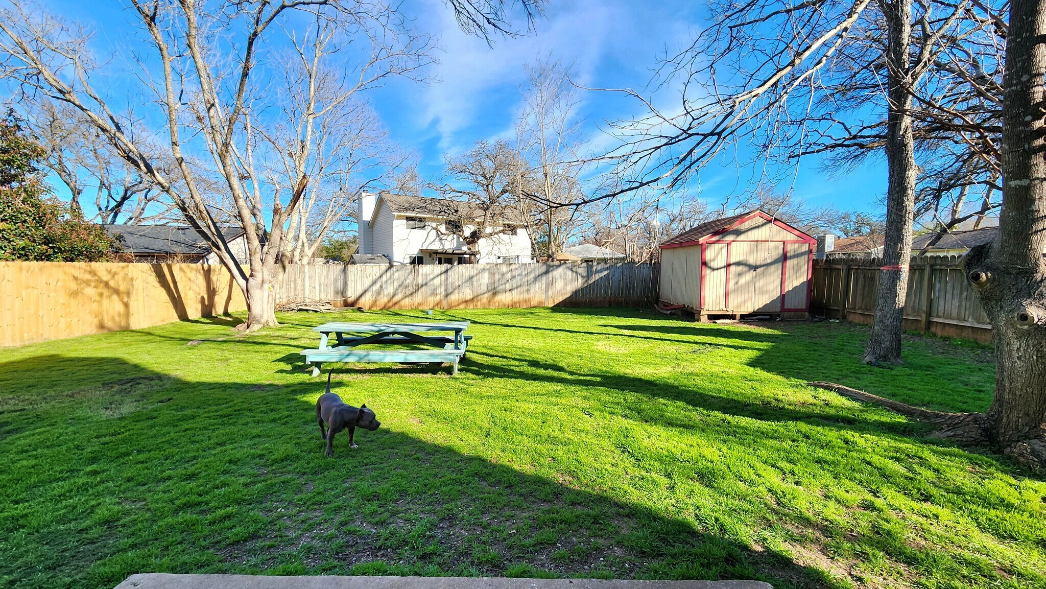 Building Photo - 11415 Bristle Oak Trl