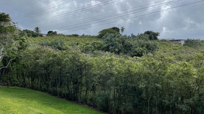 Building Photo - UPDATED 3 BEDROOM WITH 2 CAR GARAGE IN AIEA