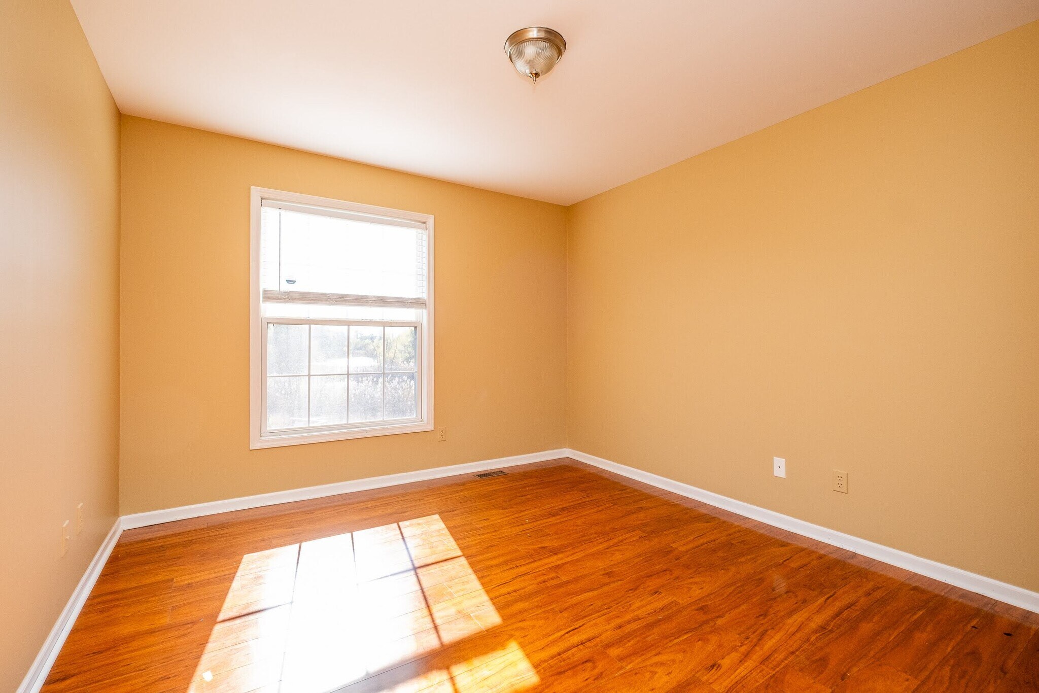 Building Photo - 466 Ivy Ln