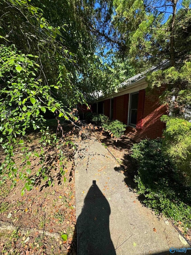 Building Photo - 109 Capote Dr