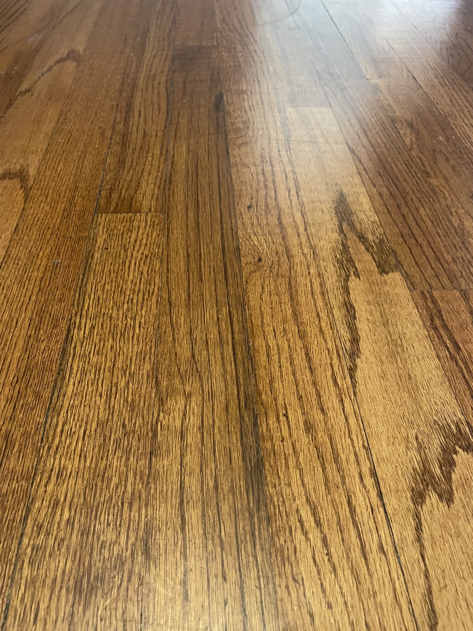 Beautiful Hardwood Floors - 556 E 5th St