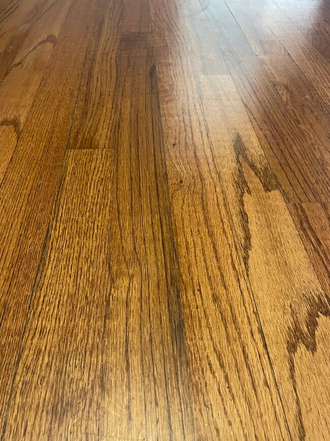 Beautiful Hardwood Floors - 556 E 5th St