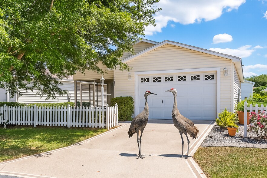 Welcoming committee - 2442 Southern Oak St