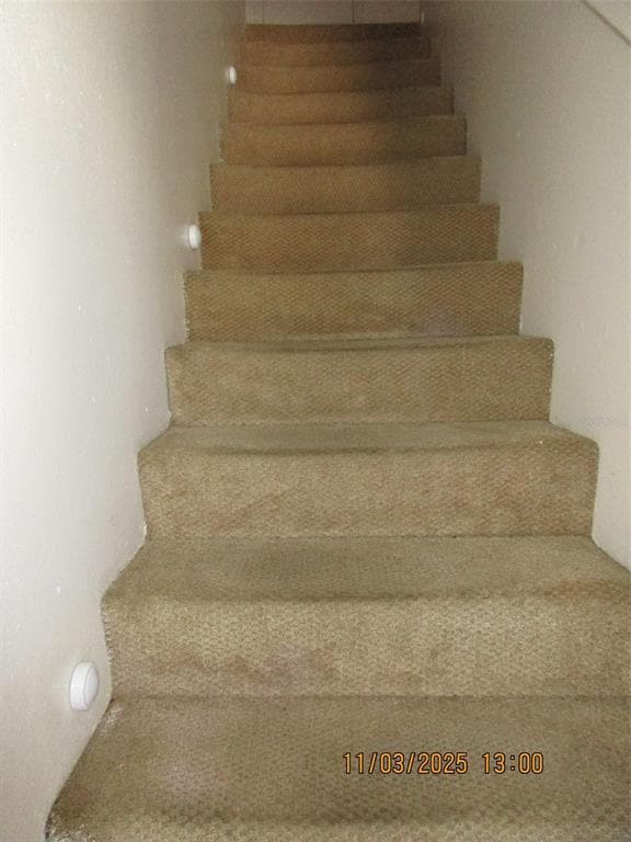 Building Photo - 291 Flower Ln