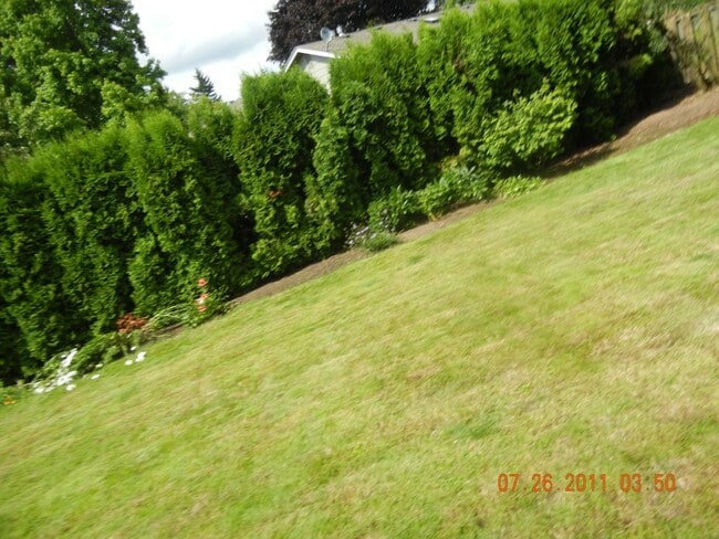 Building Photo - Great 3 Bedroom Ranch in Vancouver!