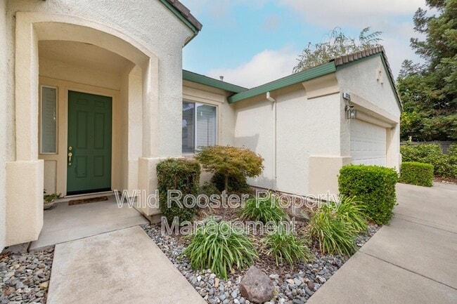 Building Photo - 2713 Robinson Creek Ln