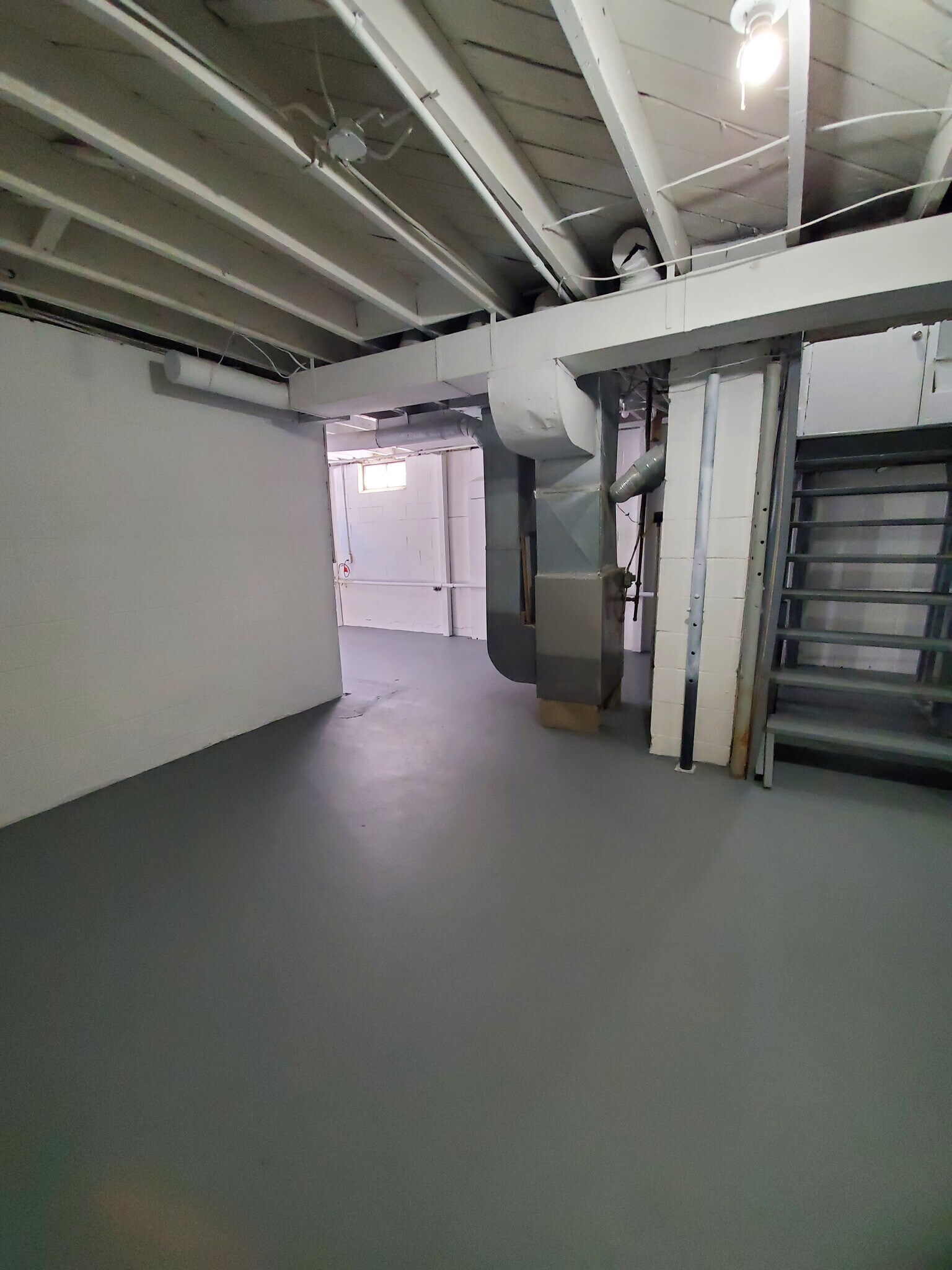 Basement - 3411 W Mott Ave