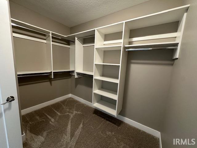 Building Photo - 3232 Plum Tree Ln