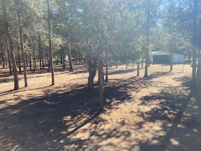 Building Photo - ? Cozy Charm on Almost an Acre in La Pine ?
