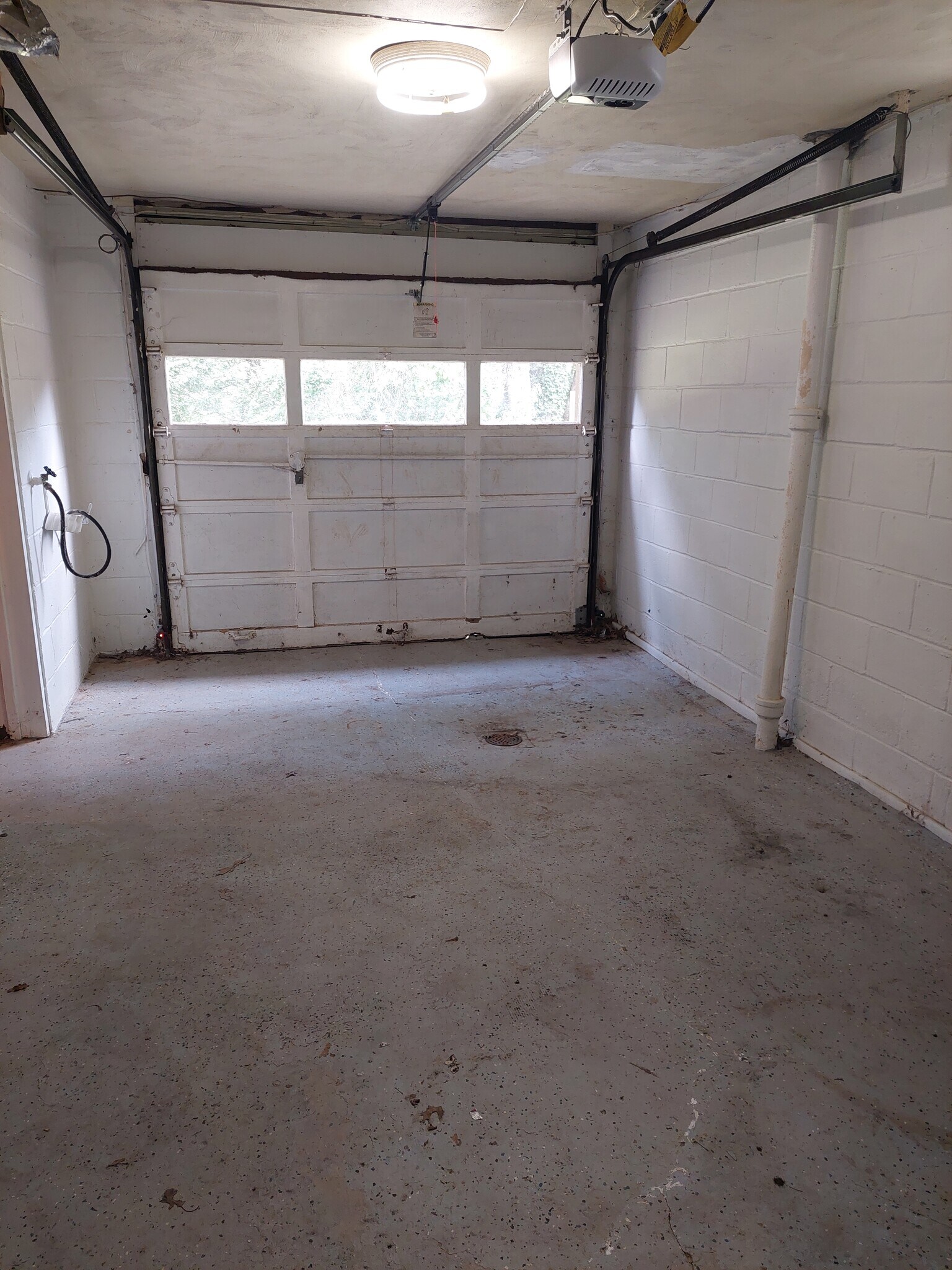 Building Photo - 229 Evaline St