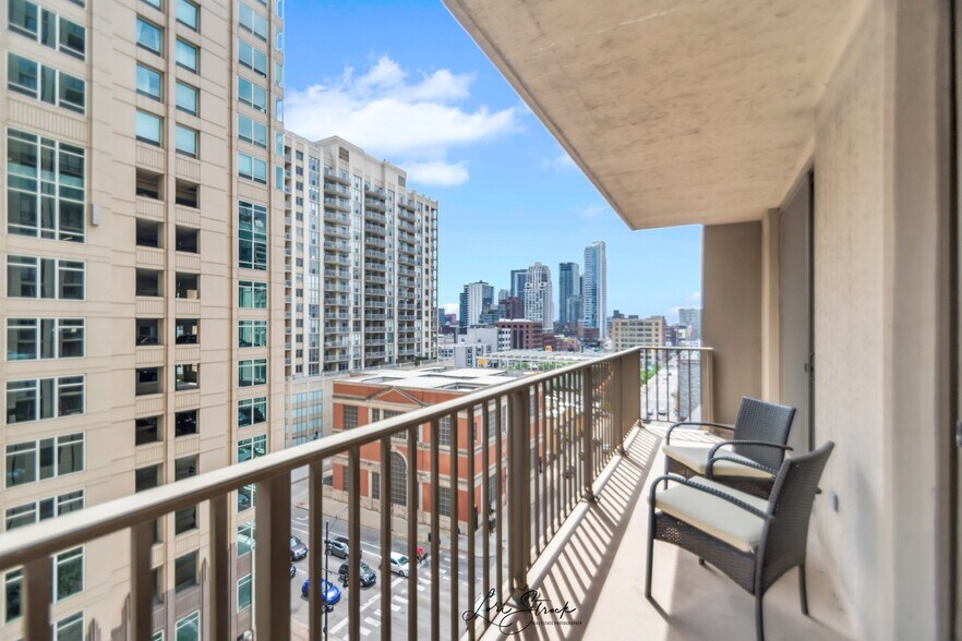 Large patio view 2 - 635 N Dearborn St