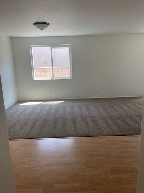 new rug living room - 3141 Thoroughbred St