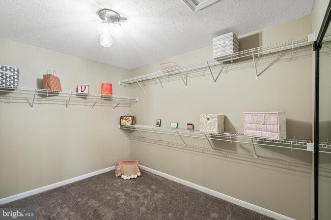 Building Photo - 103 Coopworth Ct