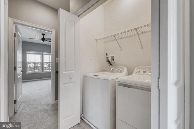 Building Photo - 8225 Secluded Cove Ln