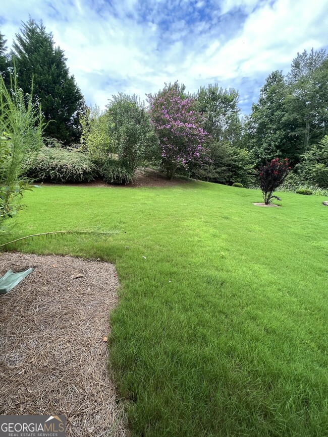 Building Photo - 6411 Hickory Springs Cir