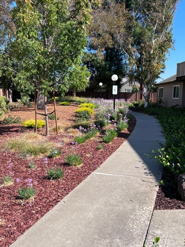 Building Photo - Large 3BR/2BA Townhouse, 2 Car Garage, Was...