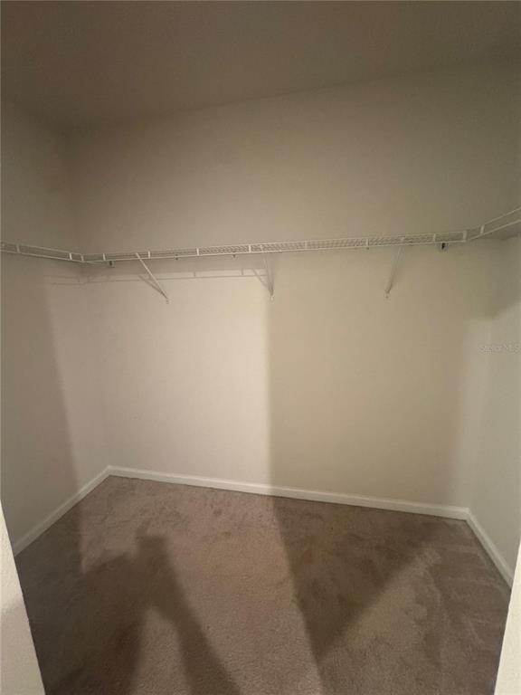 Building Photo - 1666 Ambar Ct