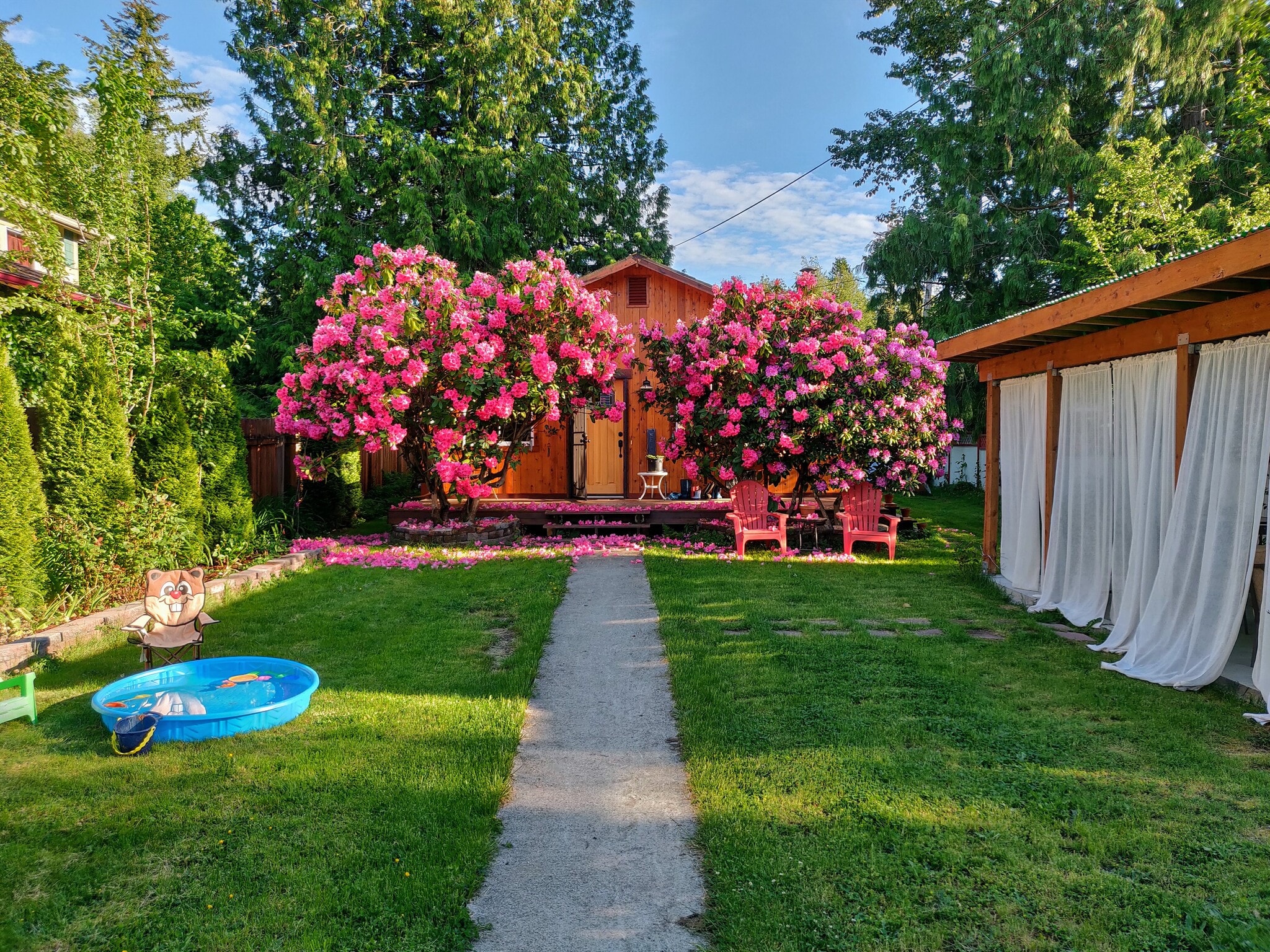 Spring 2019, mid afternoon - 3842 Idaho St