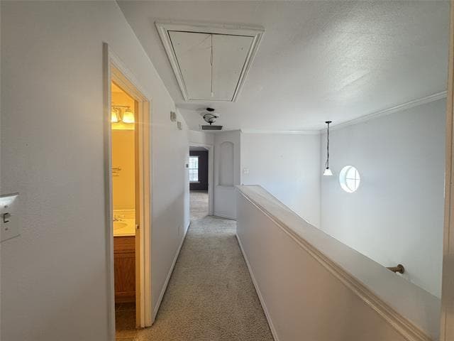 Building Photo - 3951 Fernando Dr