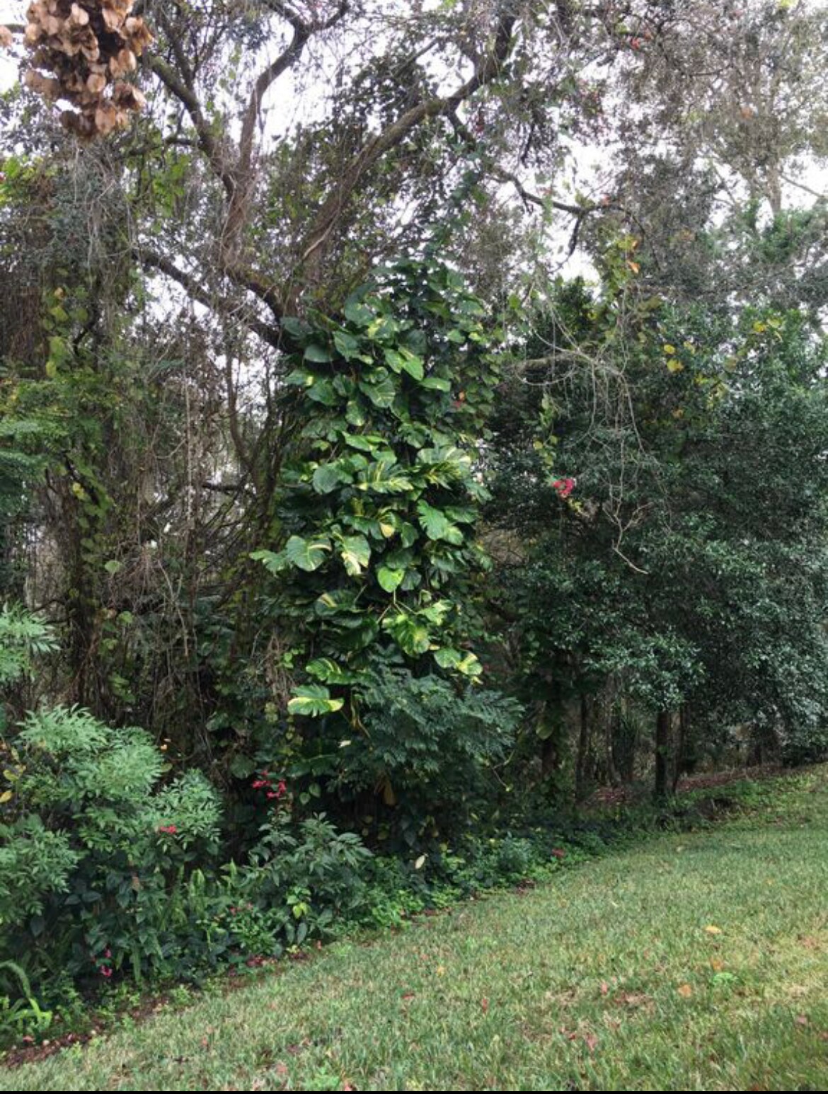 Overlooking Green area - 1334 Augusta National Blvd