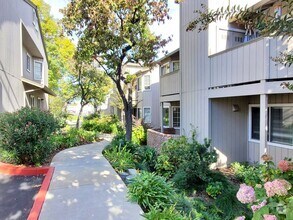 Building Photo - Spacious Downstairs Condo, New Wood Floori...