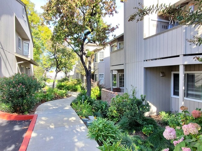 Primary Photo - Spacious Downstairs Condo, New Wood Floori...