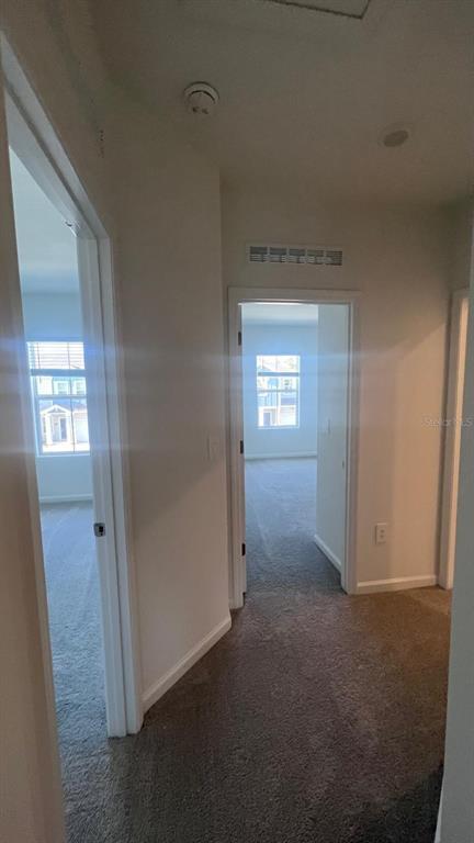 Building Photo - 2683 Skyline Lp