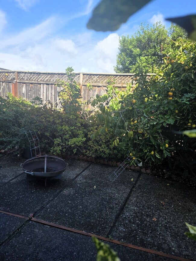 Building Photo - SUPER Spacious Westside Santa Cruz Home wi...