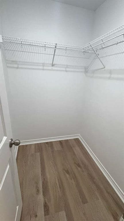 Building Photo - 14205 Prairie Sod Ln