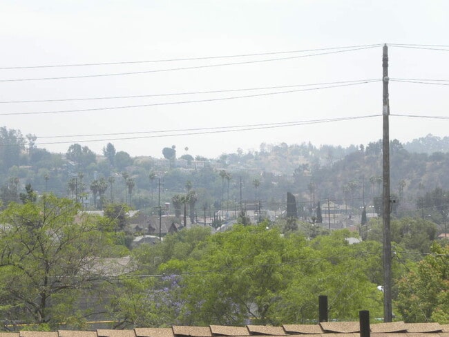 Building Photo - 324 Vista Pl