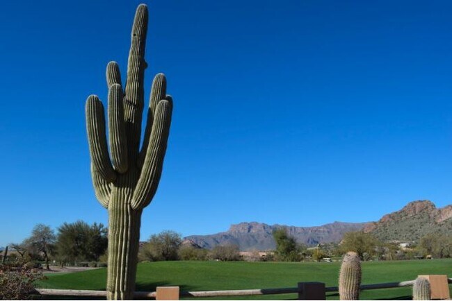 Building Photo - 6744 S Haunted Canyon Rd