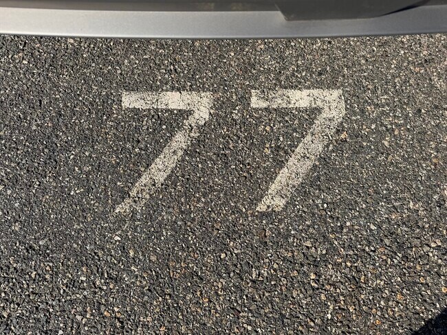 Building Photo - 147 Sylvan St