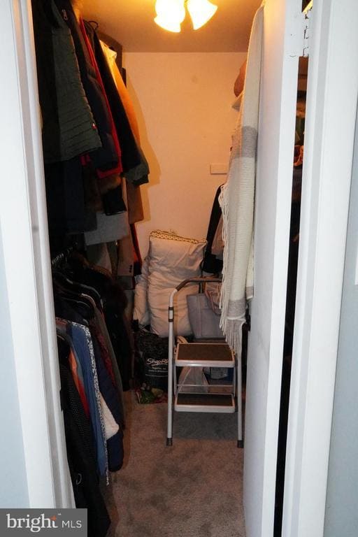 Building Photo - 704 The Woods