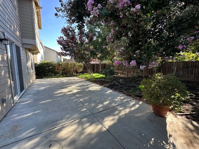 Building Photo - Beautiful 4 Bedroom, 2.5 Bath Tracy Home /...