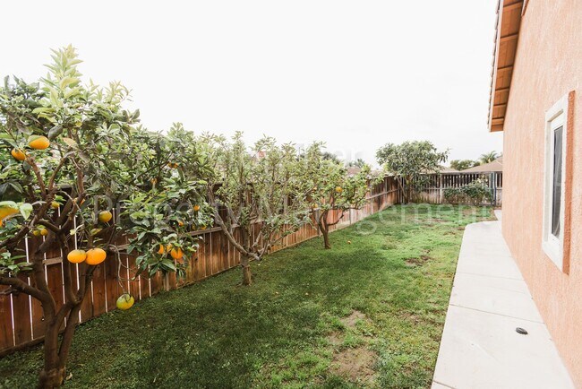 Building Photo - Beautiful 4 bed / 2 bath / 1,708 sqft Single Story Home in Rio Vista community of Oceanside