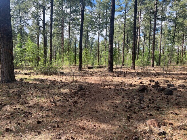 Building Photo - Updated Townhouse backed by National Forest