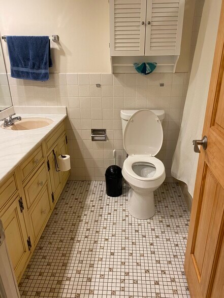 common full bathroom - 1310 Maple Ave