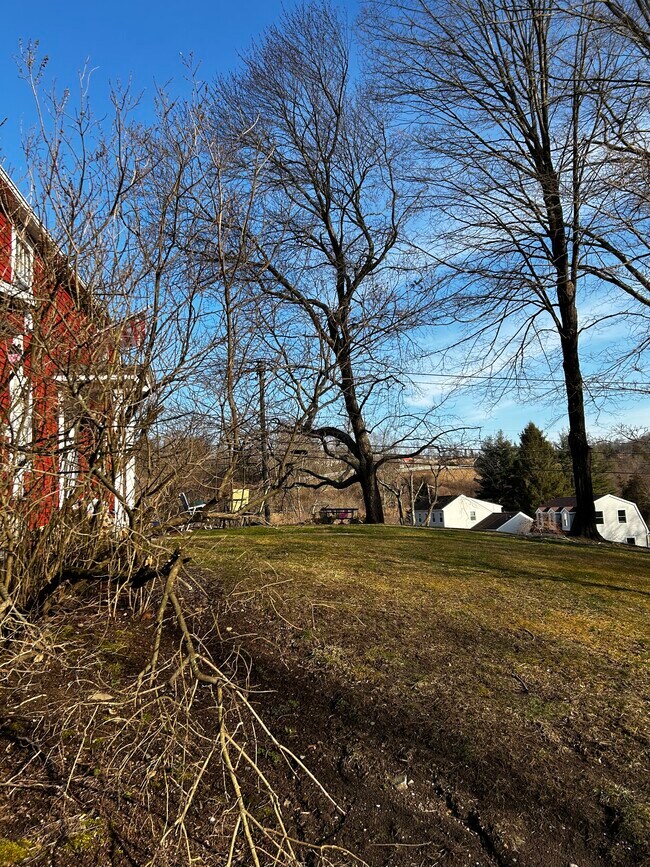Front yard - 969 Purchase Brook Rd