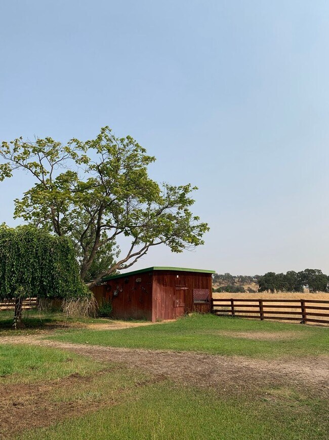 Building Photo - Butte Valley 3 bed 2 bath home, Privacy, n...