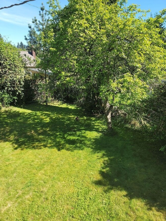 Building Photo - Spacious Wedgewood 3 bed/2 bath with fence...