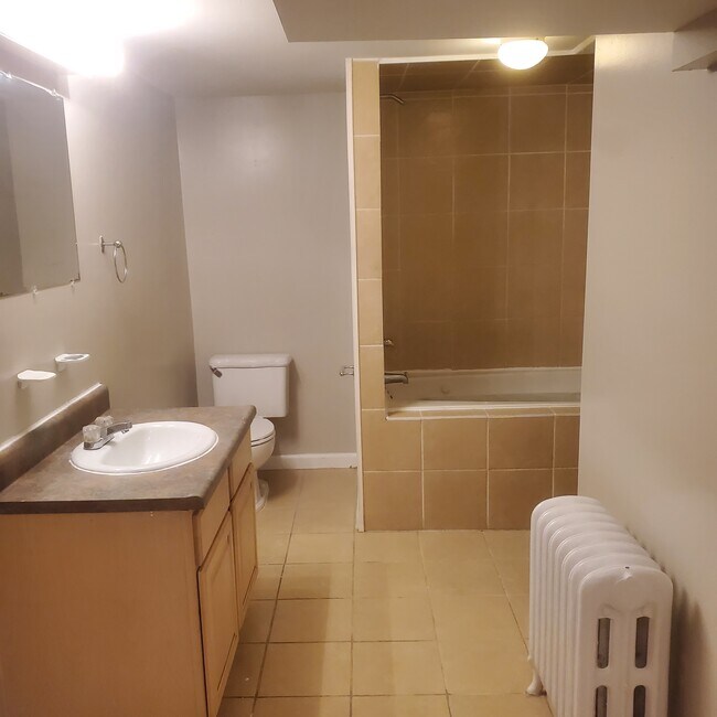 Lower Level Full Bath - 1517 Beaver Heights Ln