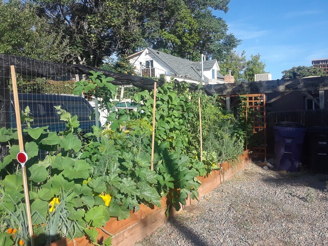 Grow your own garden with this large bed out back - 3434 Lawrence St