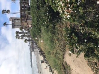 Steps out front of compl - 4667 Ocean Blvd