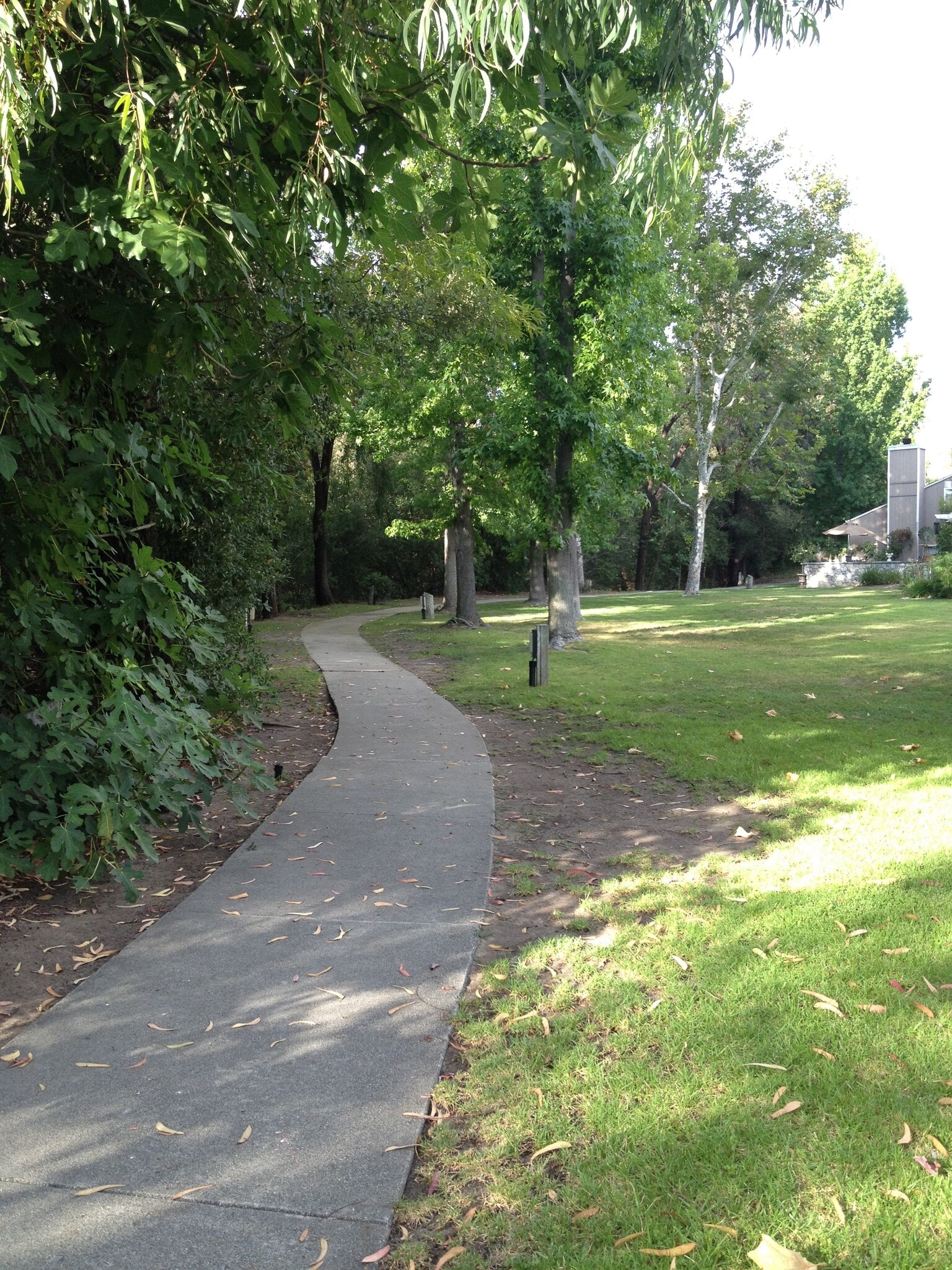 Outside grounds - 23531 Avenida La Caza