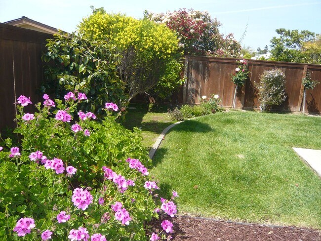 Building Photo - Single Level Home in Gated Community