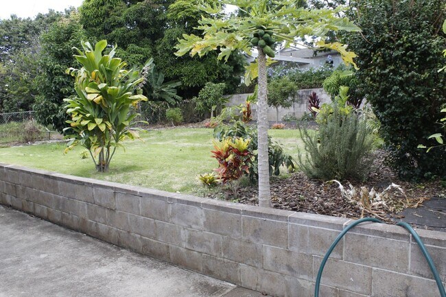 Building Photo - Loha