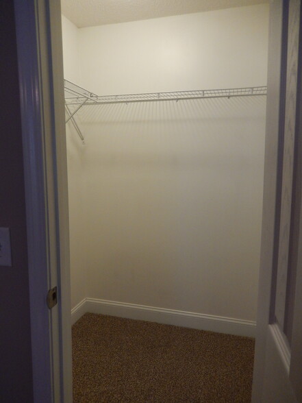 Several Large Walk-In Closets - 319 Southern Comfort Dr