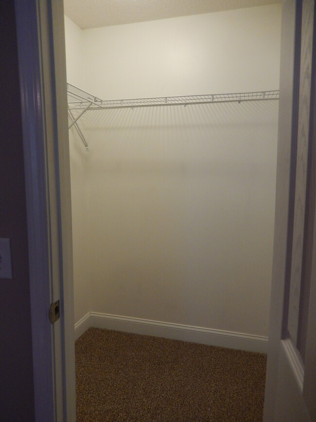 Several Large Walk-In Closets - 319 Southern Comfort Dr