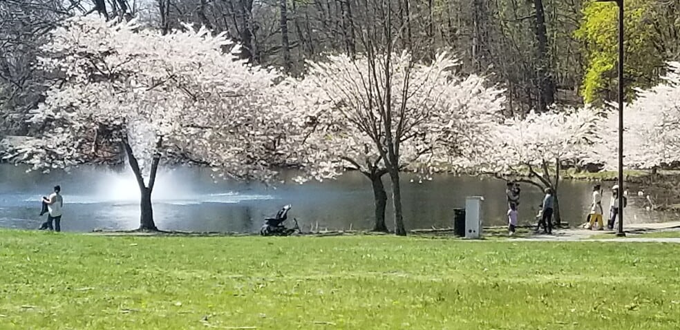 Fellsmere Pond - 23 Desmond Rd