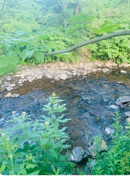 Building Photo - 51946 NY-10